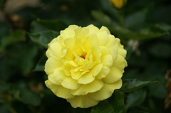 DSC07598