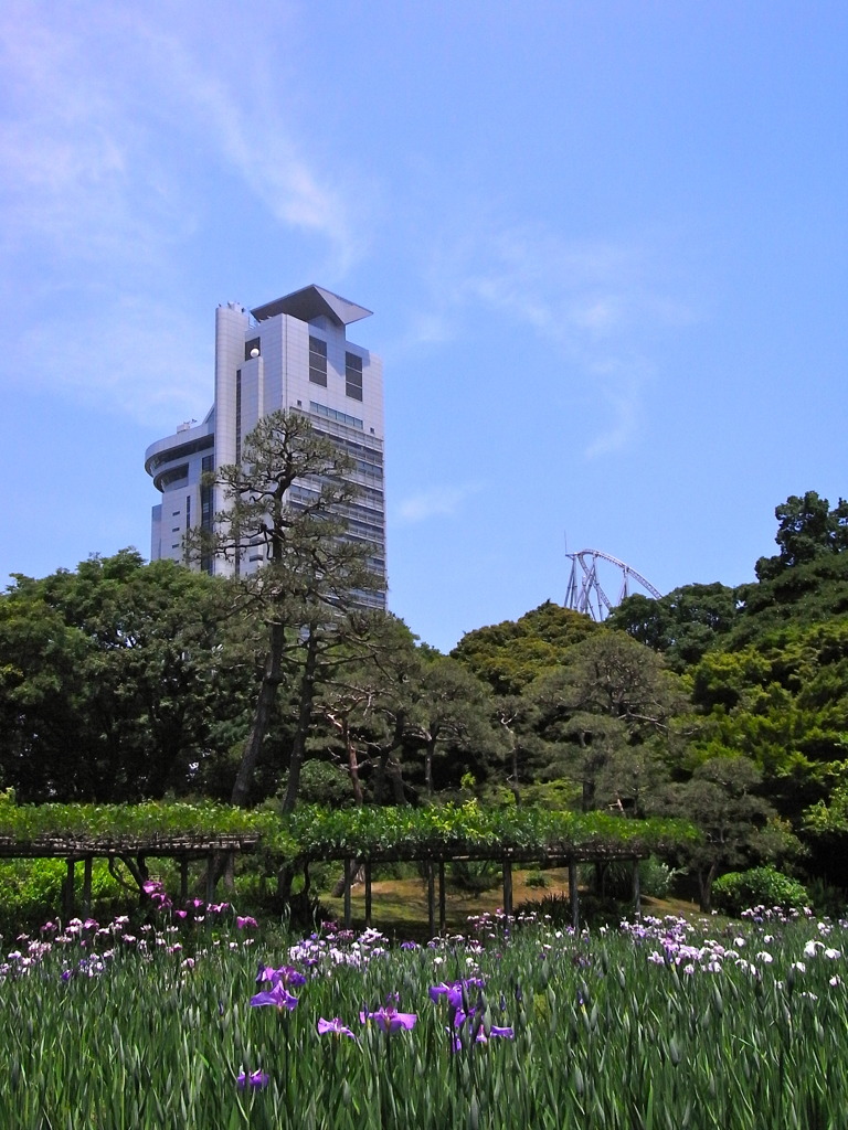 日本の首相が変わった直後の、小石川植物園