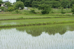 加田屋新田