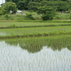 加田屋新田