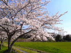 R0011728