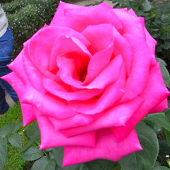 RIMG0117