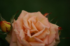 DSC07628