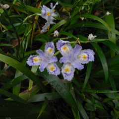 RIMG0021