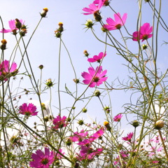 R0010421