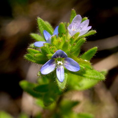 R0010631