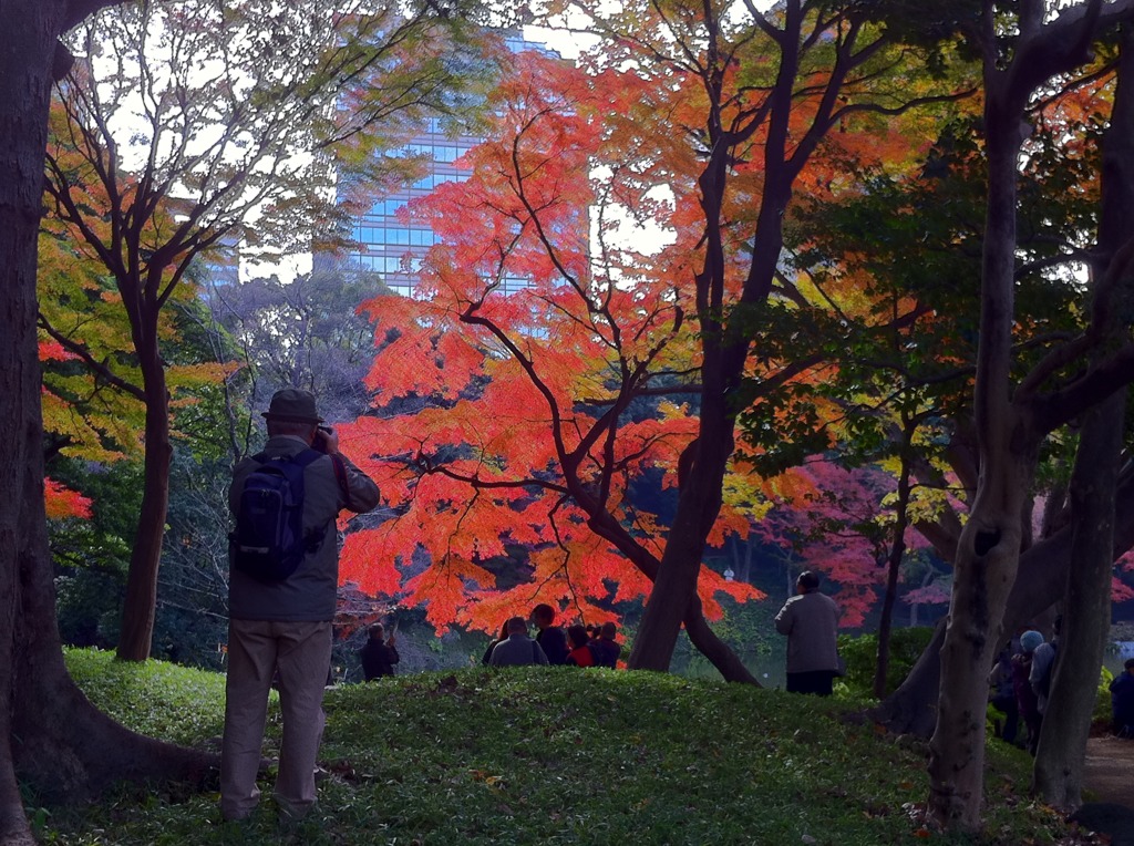 小石川後楽園