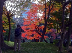 小石川後楽園
