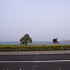 通勤009
