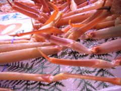 カニさんのあし