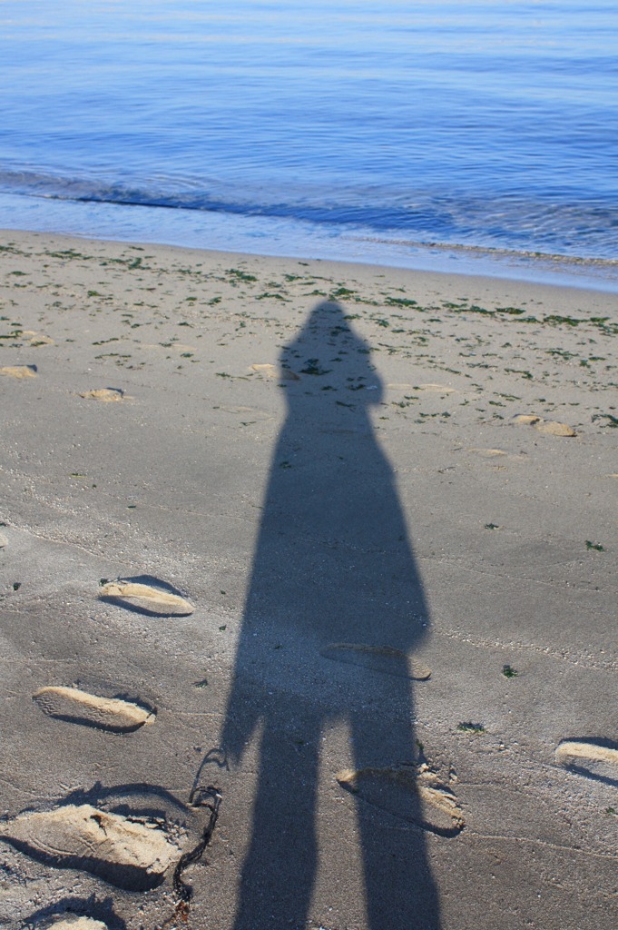 私の影