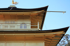 金閣寺