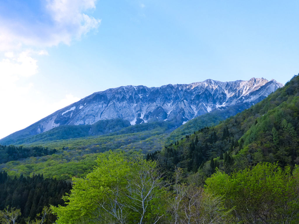 大山　from　鍵掛峠