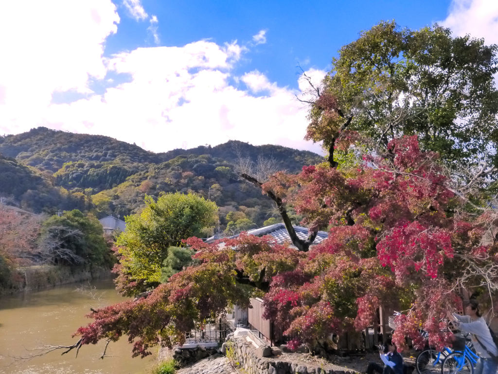 嵐山