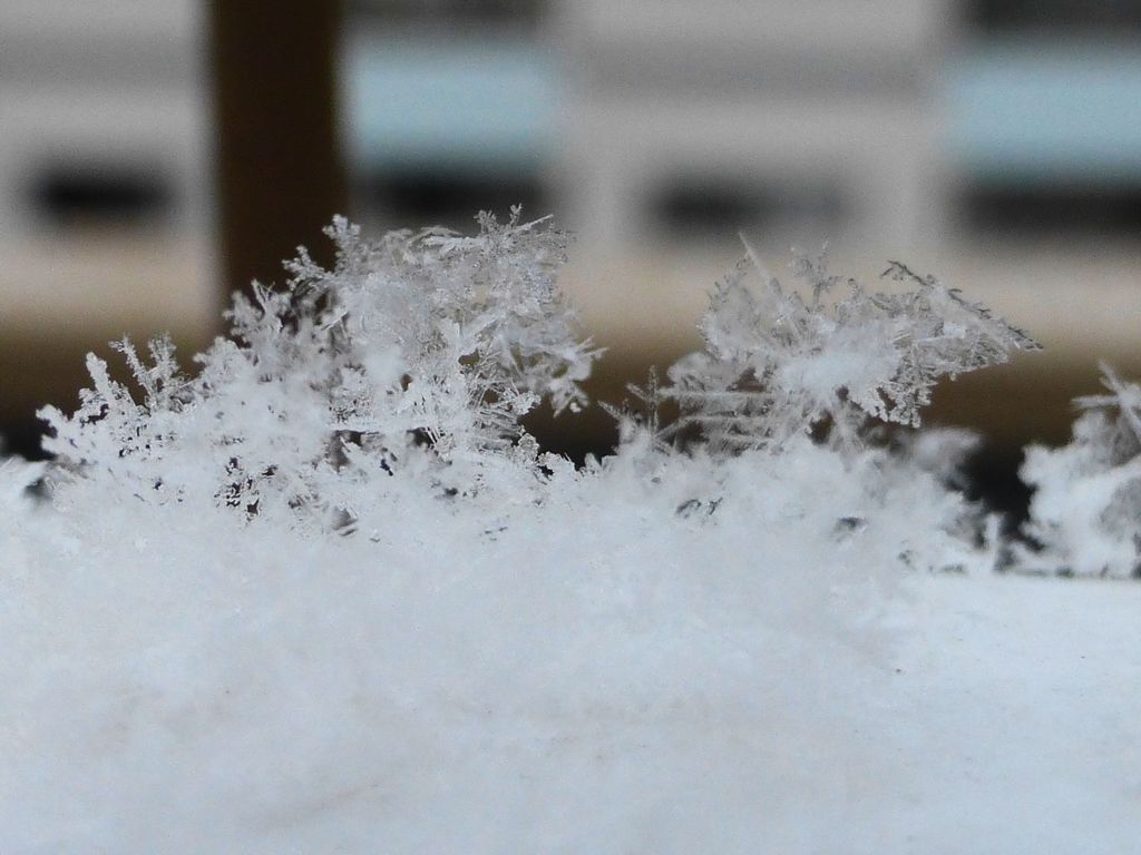 大阪に降ってきた雪
