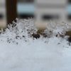 大阪に降ってきた雪