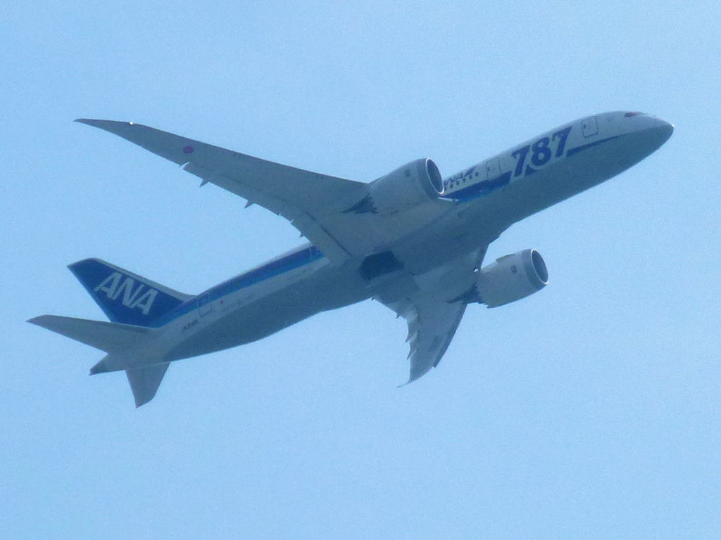 Ｂ７８７　着陸中止急上昇中