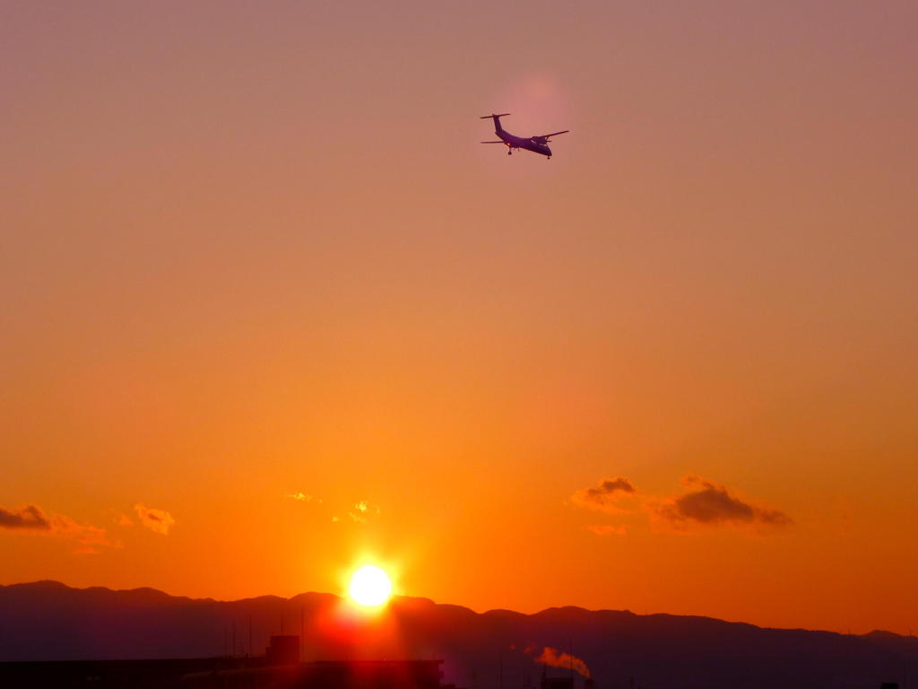 Twilight Flight