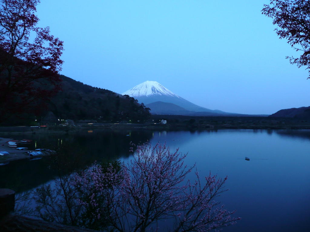 富士山＠精進湖
