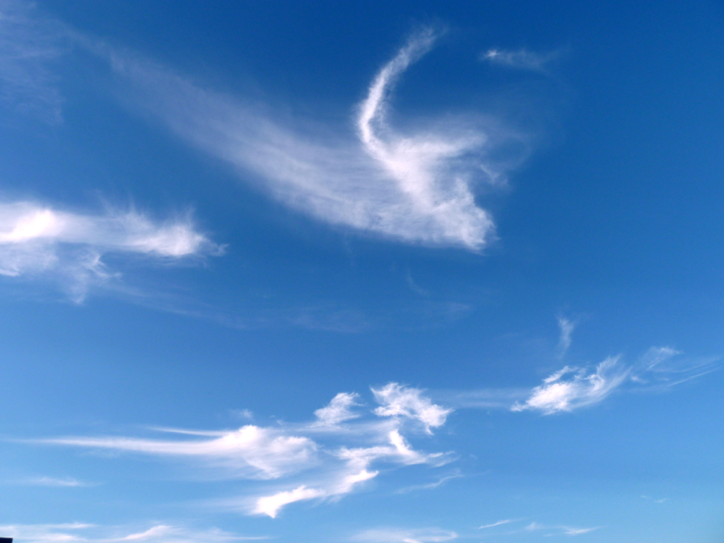 青空を泳ぐ妖精たち
