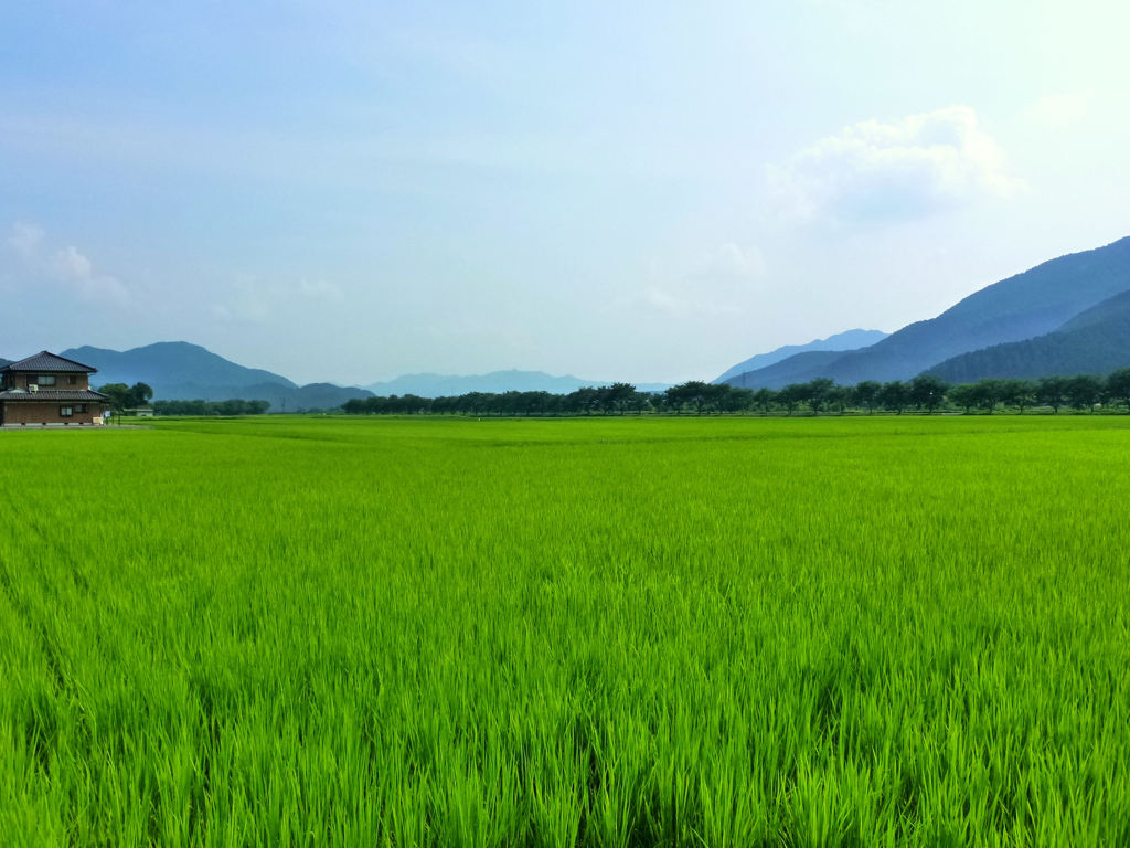 田園風景