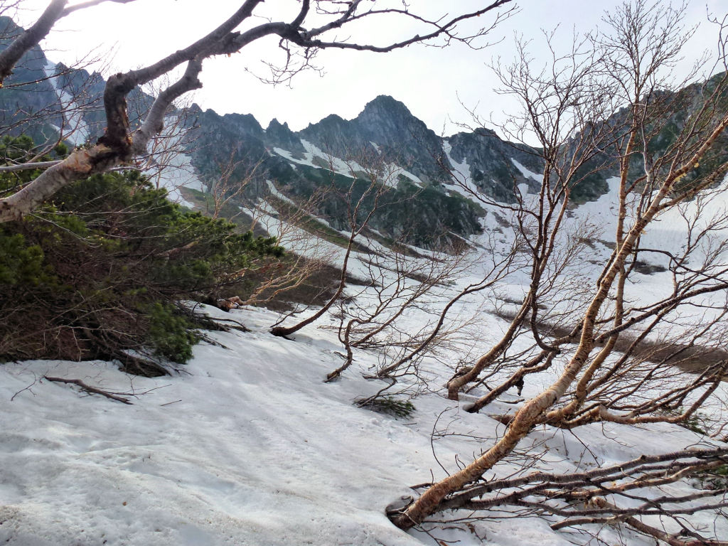 初夏の雪景色