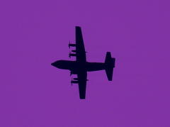 Purple支援機