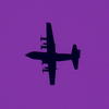 Purple支援機