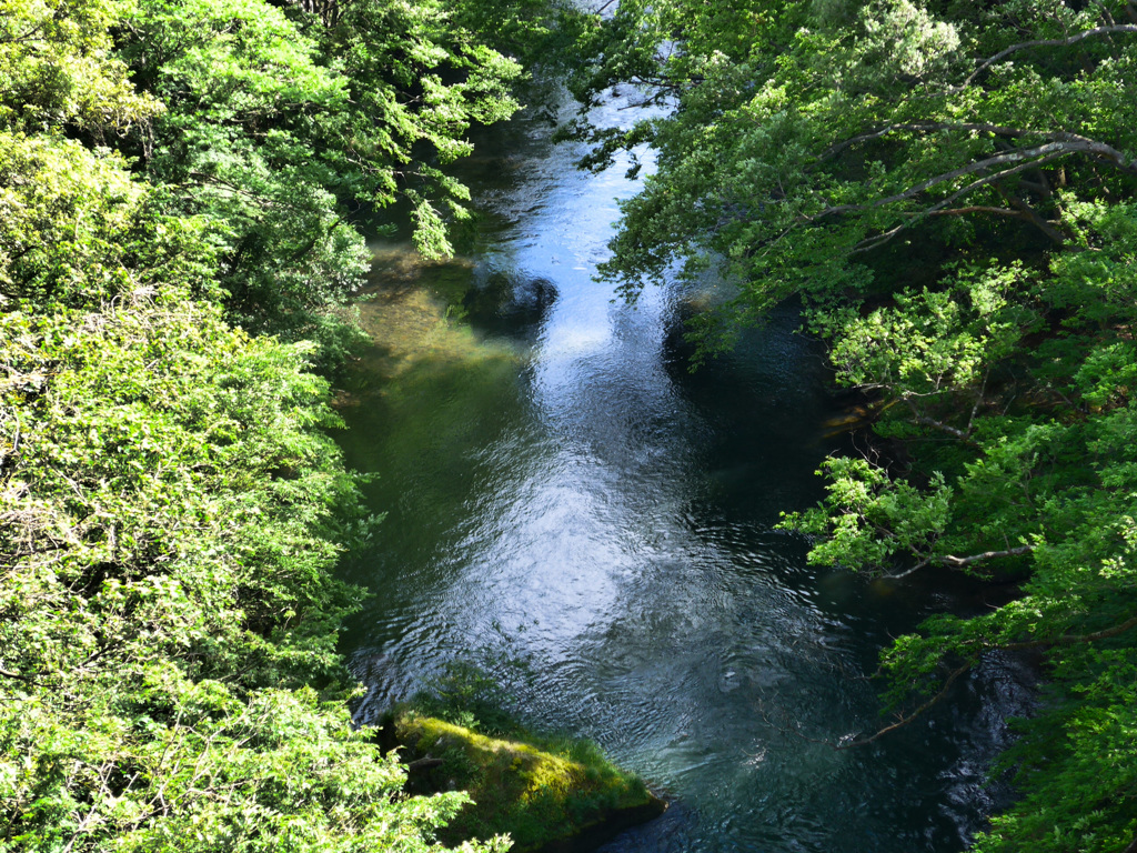 山中温泉　鶴仙渓　part3