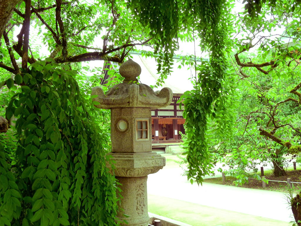 木陰の風景