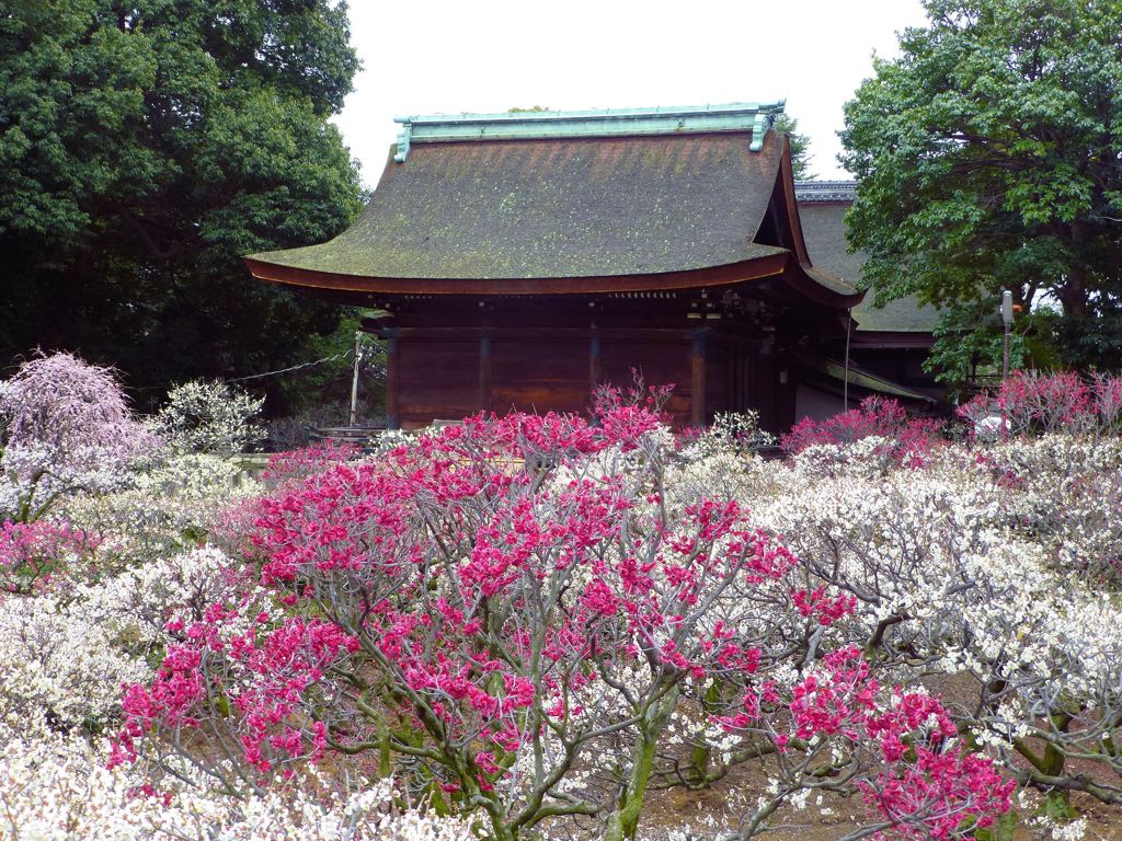 道明寺天満宮　１