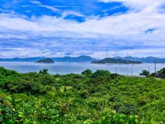 大三島から見た大久野島