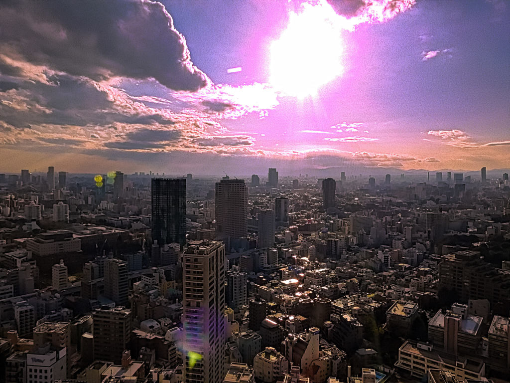 富士山は見えず　from TOKYO TOWER