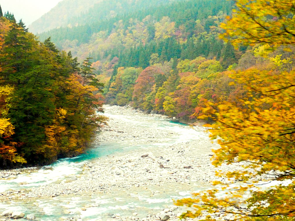 黒部峡谷の早い秋