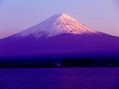 富士山＠河口湖　パープル