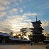 初詣＠薬師寺　2014