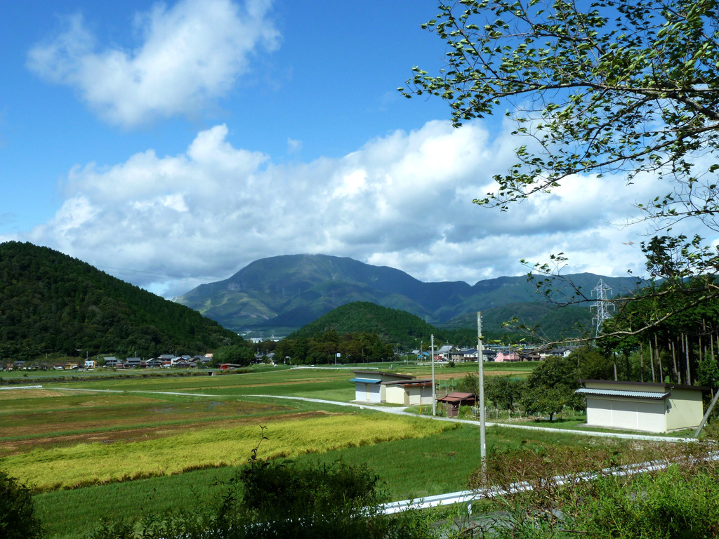 夏から秋へ