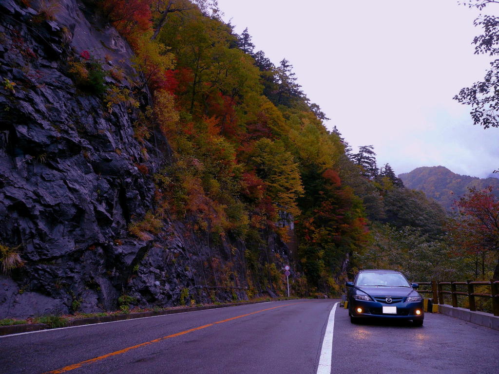 紅葉の山に登りつめて