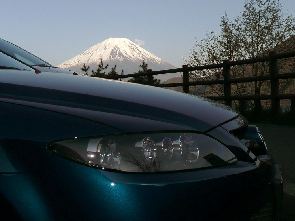 車に積んで持って帰りたい