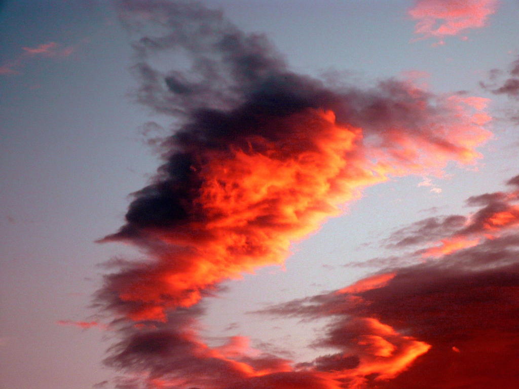 石焼き雲