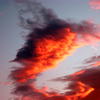 石焼き雲