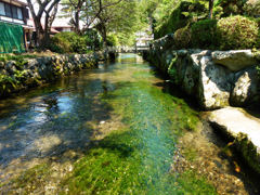 地蔵川の風景　１