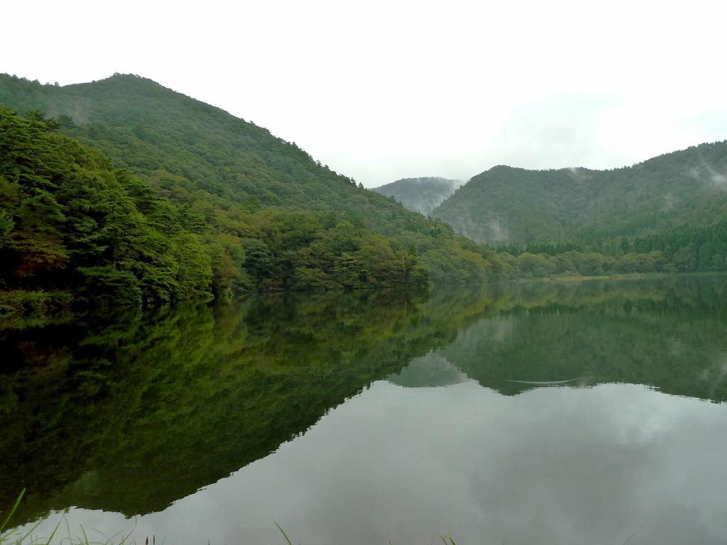 静かな森の湖畔