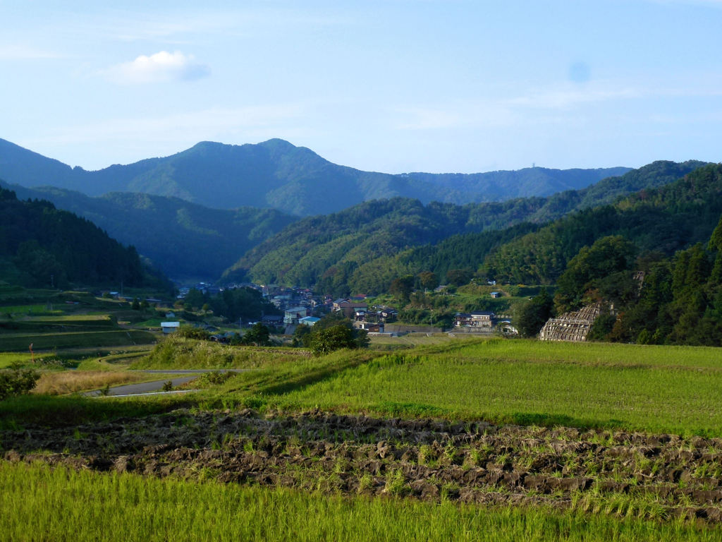 秋の農村