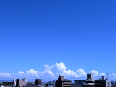 早くも夏空