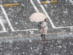 雪中行軍