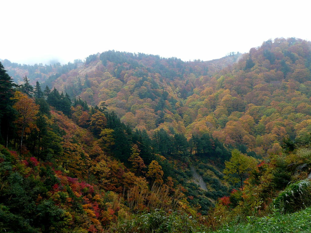 色づく白山連峰