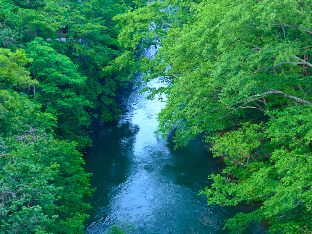 山中温泉　鶴仙渓　part2