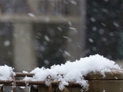 ３年ぶりの積雪