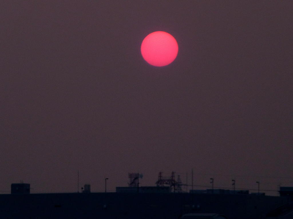 ピンクの太陽